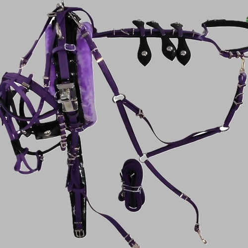 Quick hitch horse driving - hitch,
