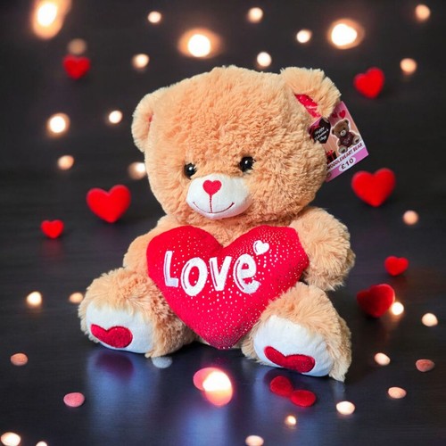 Snuggle heart bear - bear,