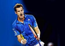 ANDY MURRAY TENNIS CHAMPION POSTER Wall Art Photo Print Poster A3 A4 
