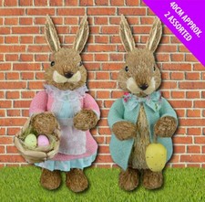 Easter Bunny Rabbit