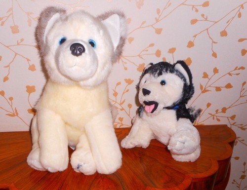Soft toy husky dog - dog, lapland