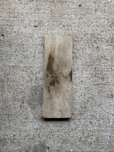 Oak offcut - oak,