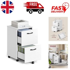 Sleek 2-Drawer White Filing