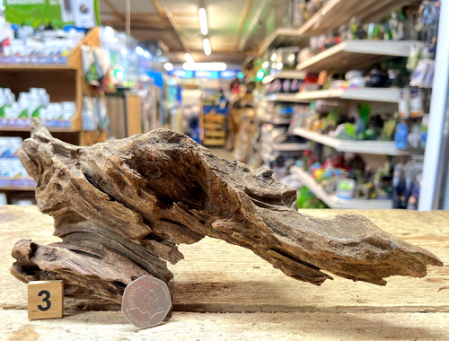 Small natural bogwood nano - bogwood,