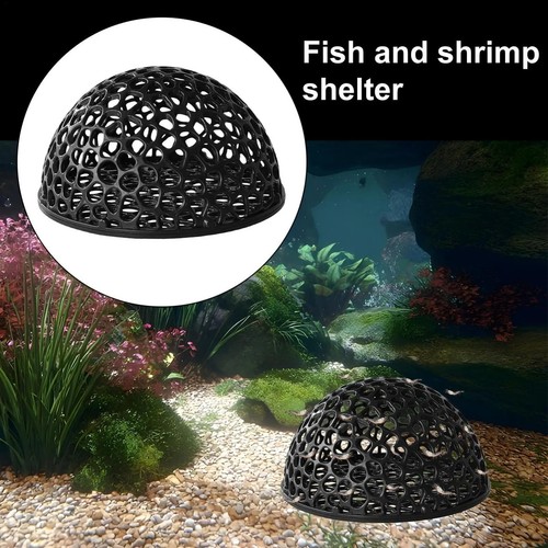 Shrimp breeding cave aquarium - shrimp,