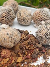 54 Pre Filled Carp Bait Balls hook on ground bait in a pre filled pva mesh bags