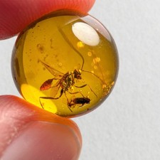 WASP SPHERE 14mm bead Burmese