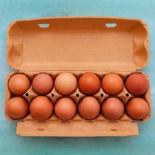 Henpac Brown  12-Egg Box, fits