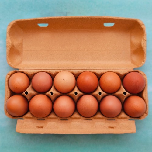 Henpac brown egg box - 12-egg, box,
