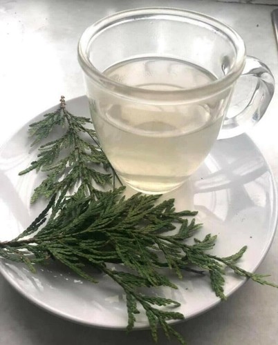 80g fresh cedar fronds - 80g,