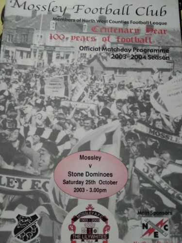 Mossley stone dominoes - v,
