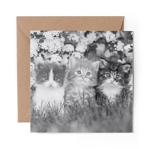 Blank greeting card - card,