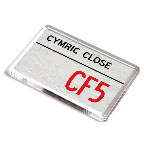 Fridge magnet cymric close - fridge,
