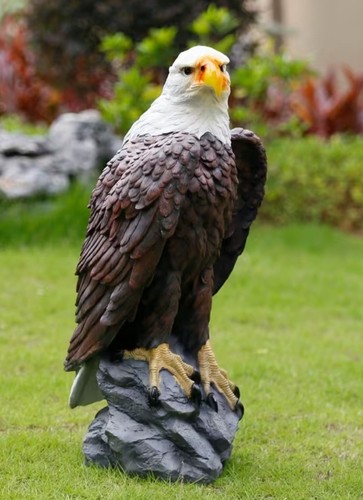 Bald eagle concrete - eagle, ornament