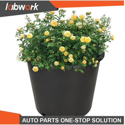 Labwork 10pcs gallon - labwork,