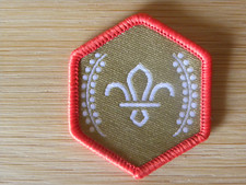 Current UK Scouting Chief Scout Gold Award Uniform Badge NEW LOGO