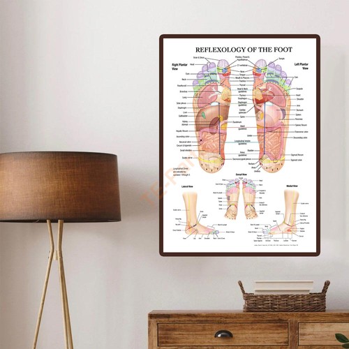 Reflexology foot map anatomy - reflexology,