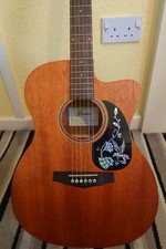 Ibanez Electro Acoustic