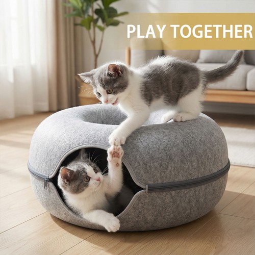 Cat cave kitten - cat, rabbit