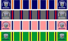 West Brom Baggies Scarf Pin