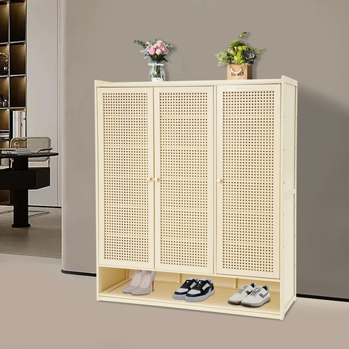 Tier shoe cabinet - shoe,