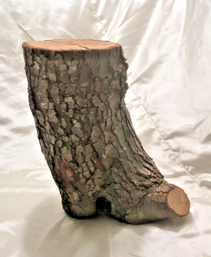 Holm oak wood log for - 1,