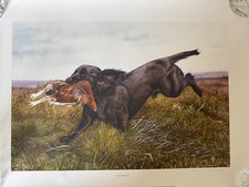 Working Cocker Spaniel Limited Edition Giclee  Print