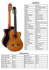 Guitar By Tanglewood, Model