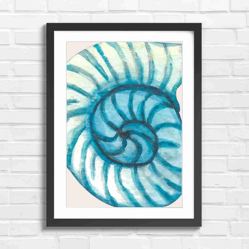 Blue watercolor nautilus shell - blue,