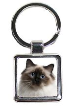 Birman Cat Pet Luxury Square