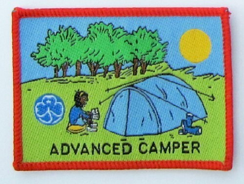Girl guide interest badge - guide,