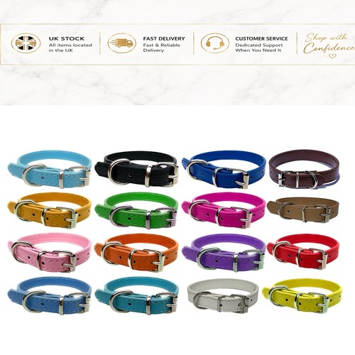Beautiful vibrant leather dog - vibrant,
