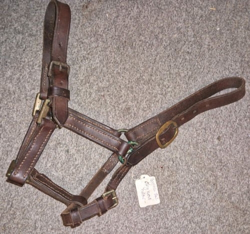 English leather headcollar - english,