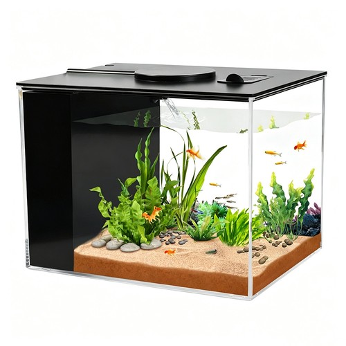 Small fish tank aquarium - small,