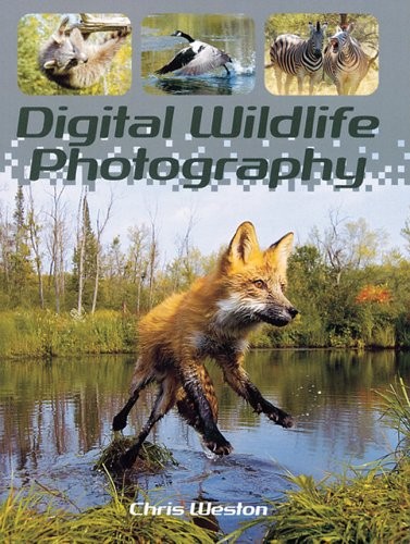 Digital wildlife photography - digital,