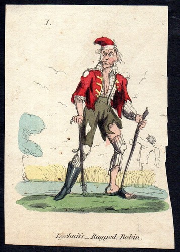Lychnifs ragged robin 1840s - lychnifs,