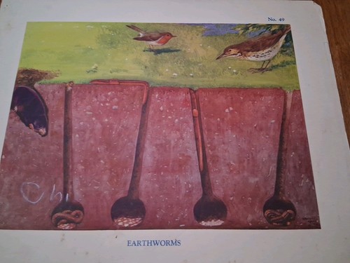 Macmillan vintage educational - macmillan,