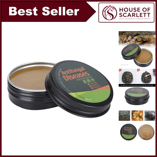 Turtle shell saver moisturizer - turtle,