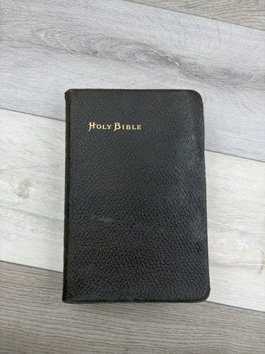 The holy bible containing - the,