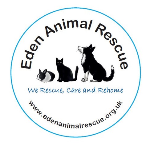 Charity donation eden - charity, animal