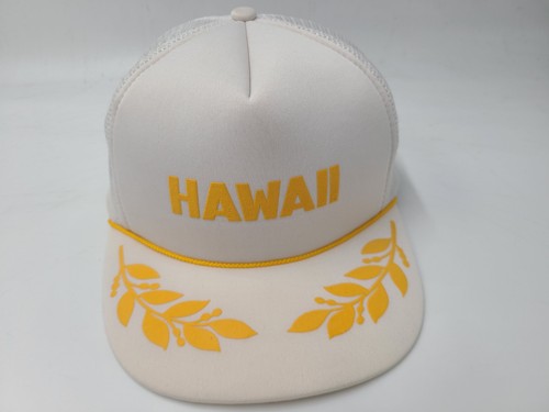 Vintage hawaii scrambled eggs - vintage,
