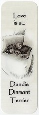 DANDIE DINMONT TERRIER BEAUTIFUL DOG BOOKMARK SAME IMAGE BOTH SIDES GREAT GIFT
