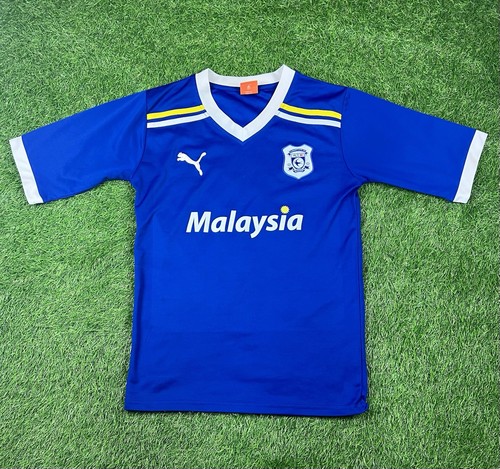 Cardiff city 2011 - cardiff, home
