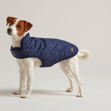 Joules Quilted Dog Coat