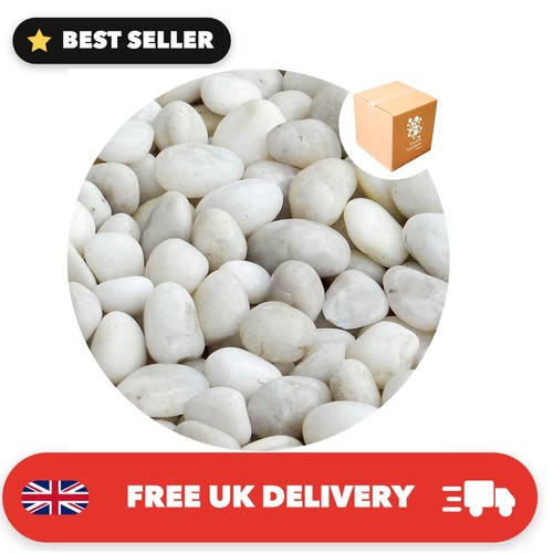15kg polished decorative - 15kg,