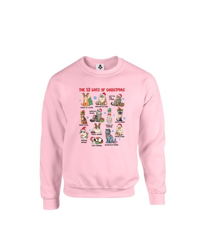 Cats christmas fun - christmas,