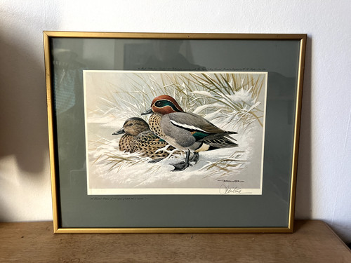 Basil ede pair - basil, teals'