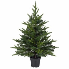 Ikea VINTERFINT Artificial potted plant, in/outdoor/Christmas tree green, 15 cm