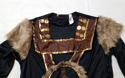 Viking warrior nordic - viking,