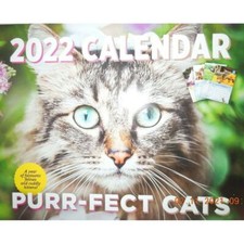 2022 CAT CALENDAR purr-fect